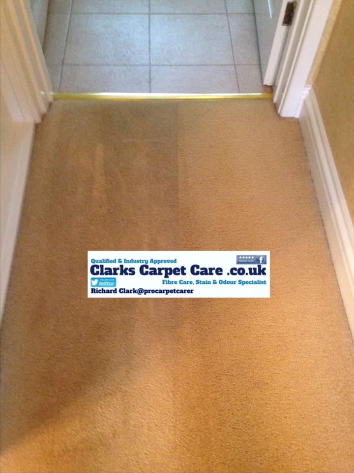 Professional Carpet Cleaner Edinburgh