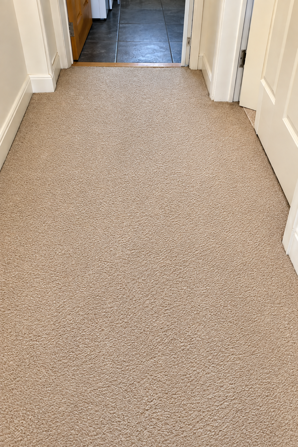 Carpet after professional carpet cleaning in Edinburgh